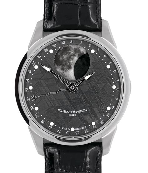 Schaumburg Watch Moon Grand Perpetual Meteorite